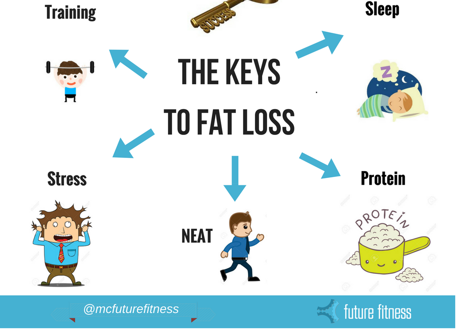 Unlock The Keys To Fat Loss