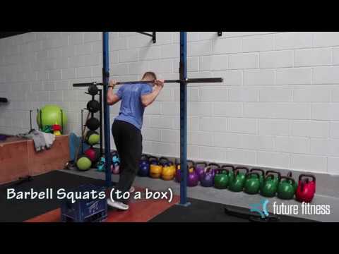 Barbell Back Squats (to a box) Exercise Tutorial
