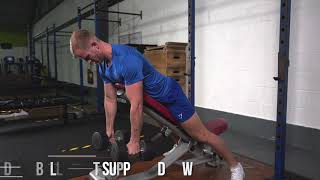 Dumbbell Chest Supported Row